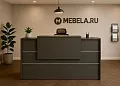 ресепшн Оникс Антрацит